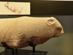 Ciudad de Elche 2022